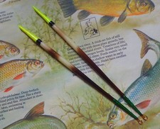 2  MEDIUM-SIZED PORCUPINE