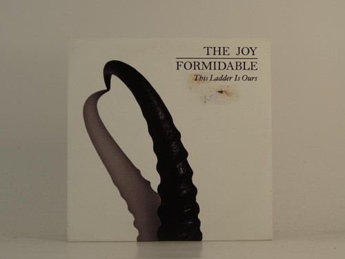 The joy formidable - formidable,