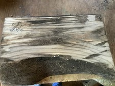 Spalted Elm Bowl Blank Wood