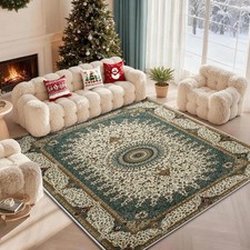 Large Area Rugs Living Room