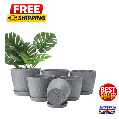 Complete plant pot set - plant,