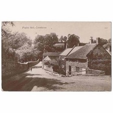 CREWKERNE Somerset, Pople's