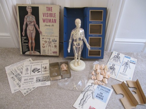 Vintage the visible woman - vintage,