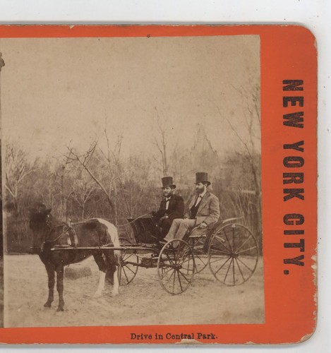 Pony buggy ride - pony, in
