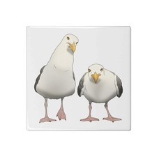 'Grumpy Seagulls' 108mm Square