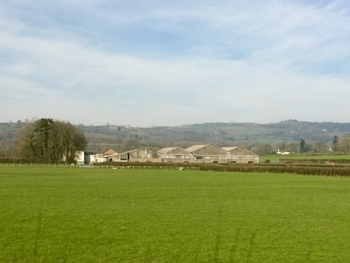 Photo 6x4 pasture land cwmifor - 6x4,