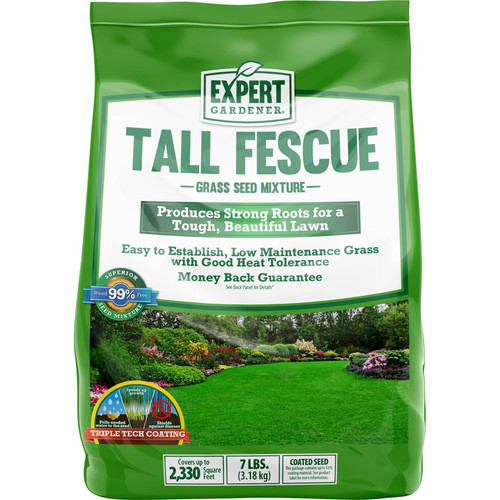 Grass seed tall fescue - tall,