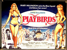 THE PLAYBIRDS 1978 Poster
