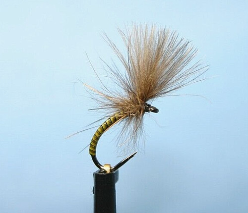 Cdc skinny buzzer - skinny, olive