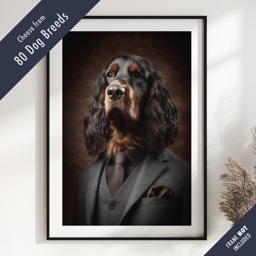 Smartly dressed dog - smartly,