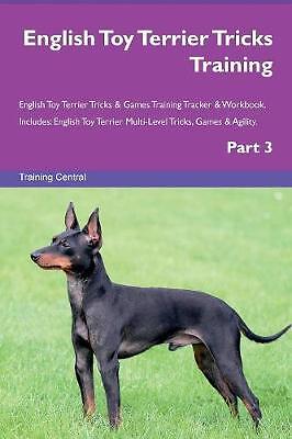 English toy terrier tricks - english,