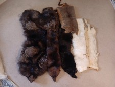 Joblot 7 X Fox & Mink Pelts