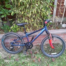 carrera blast 20 inch kids mountain bike