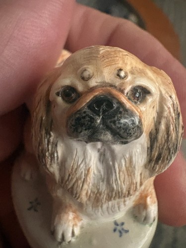 Miranda smith pekingese dog - smith,