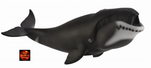 Bowhead arctic whale - arctic, sealife