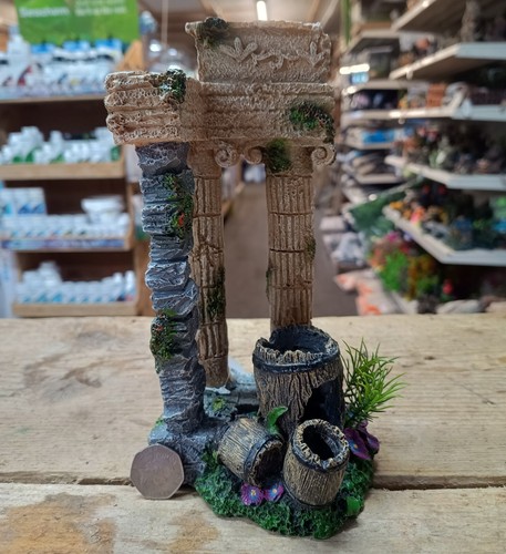 Corner roman aquarium - corner,
