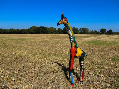 Gerald the giraffe - the,