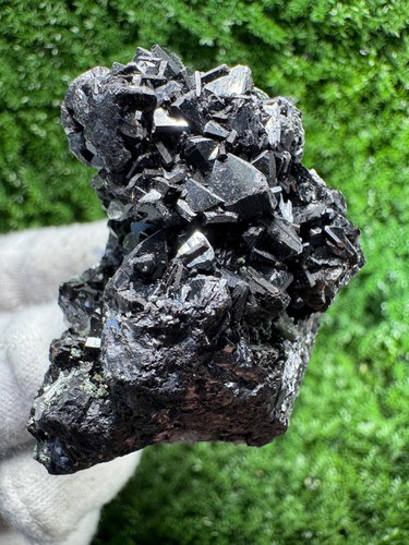 Striking specimen galena - of,