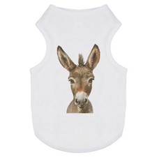 Baby donkey portrait - 'baby, dog