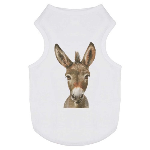 Baby donkey portrait - 'baby, pet