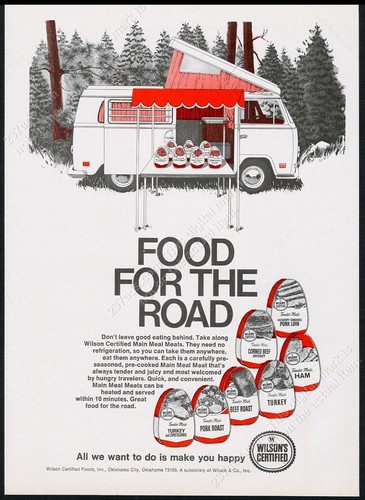 1972 camper campmobile bus - 1972,