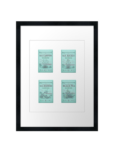 Vintage seed packets - packets, only