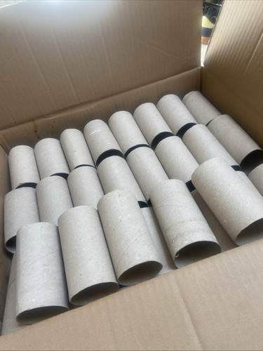 Empty toilet roll tubes - tubes, 100