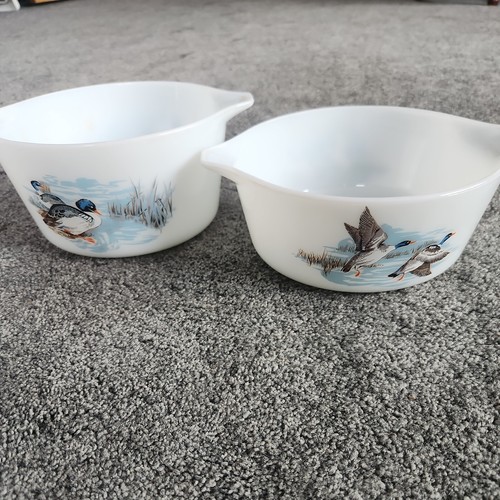 Jaj pyrex wild - pyrex, duck