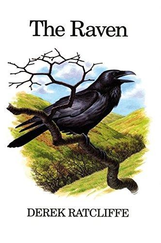 The raven - (poyser, monographs)