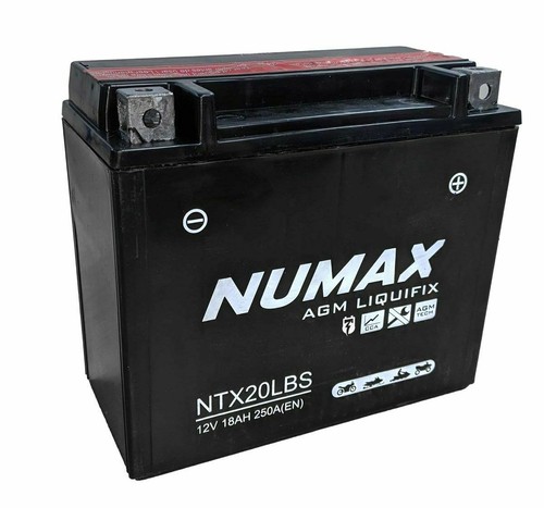 Numax ntx20lbs ytx20l - numax, ytx20l-bs