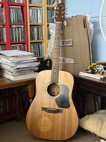 Walden d320t acoustic - walden,