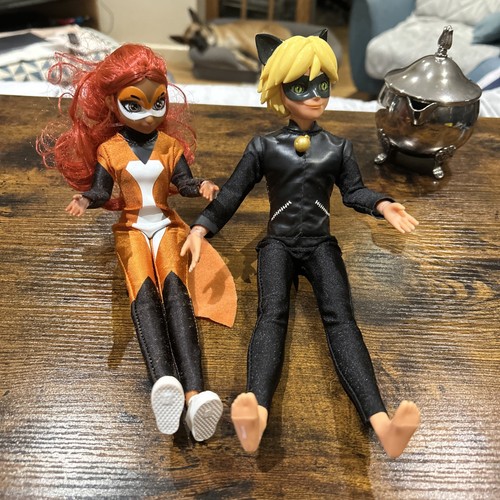 Miraculous ladybug cat noir - ladybug,