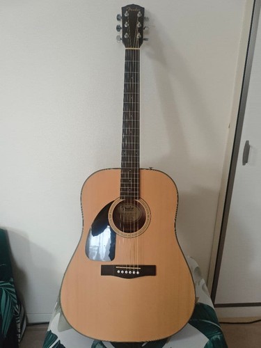 Fender 100 nat ds v2 - fender, cd