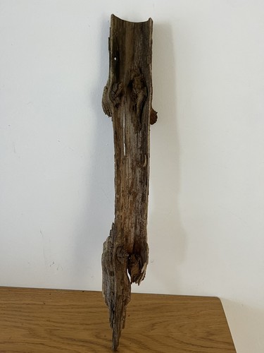 48cm driftwood hollow log - 48cm,