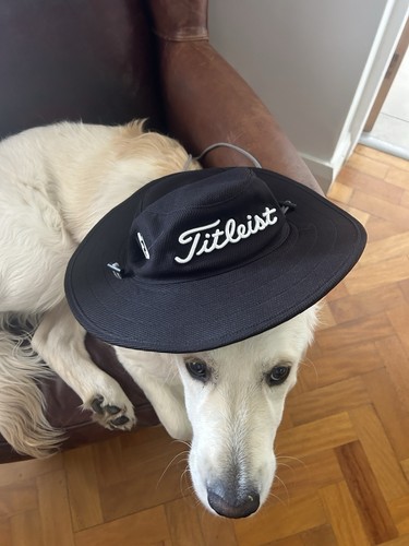 Titleist golf hat - golf,
