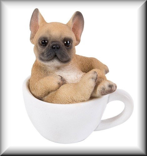 French bulldog pup cup - pup, in