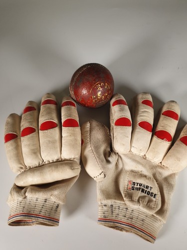 Stuart surridge cricket - stuart,