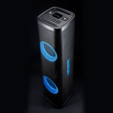 Goodmans Party Speaker with