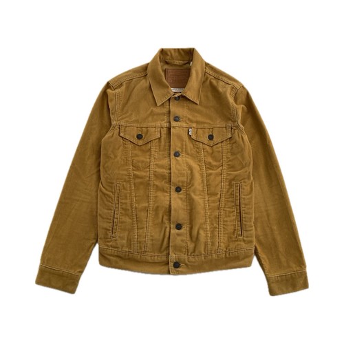 Levi wood thrush - thrush, corduroy