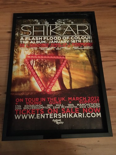 Enter shikari flash flood of - enter,