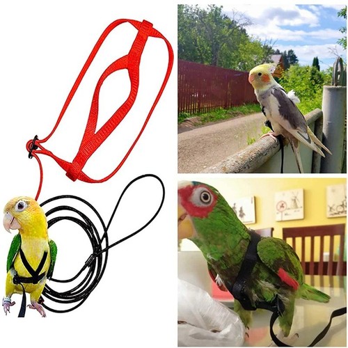 Training rope bird harness - training,