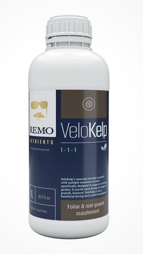 Remo velokelp - remo,