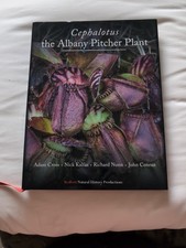 Cephalotus The Albany Pitcher