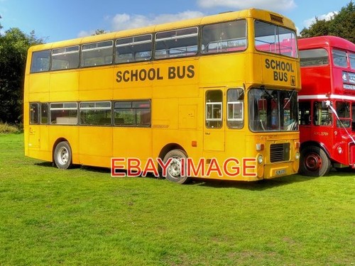 Photo yellow school - school, bus
