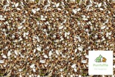 Pigeon conditioner seed food - pigeon,