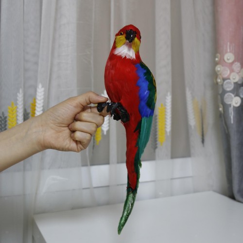 Feather parrot macaw - feather,