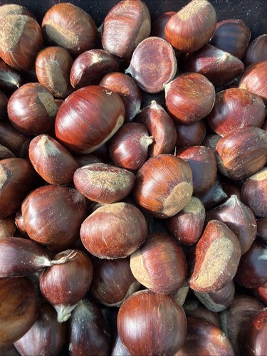 Sweet chestnuts for - sweet,