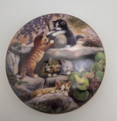 Jurgen scholz kitten - scholz,