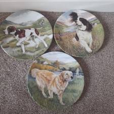 3  BORDER COLLIE DOG PLATE -