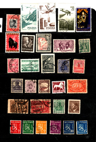 Old polish martinique - old, polish,